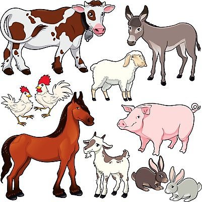 EPS 해외이미지 동물 캐릭터 행복 어린이 일러스트 가족 염소 돼지고기 미소 농장 치킨 토끼 양 돼지 그룹 소 만화 오브젝트 당나귀 수탉 고립 마스코트 암탉 해외202004 해외일러스트 일러캐릭터 감정 농업 포유류 관계 표정 육류 사람 반려동물 닭 말_동물 암컷 수컷 닭고기요리 파일형식 벡터 이미지허브