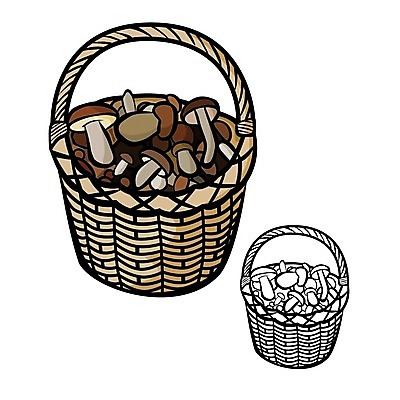 EPS 해외이미지 계절 음식 백그라운드 일러스트 자연 건강 갈색 바구니 버섯 가을 흰색 숲 스케치 수집 가득함 심볼 날것 고립 곰팡이 그물버섯 식용 캡모자 해외202004 해외일러스트 모자_잡화 컬러 미술 생태계 파일형식 벡터 이미지허브