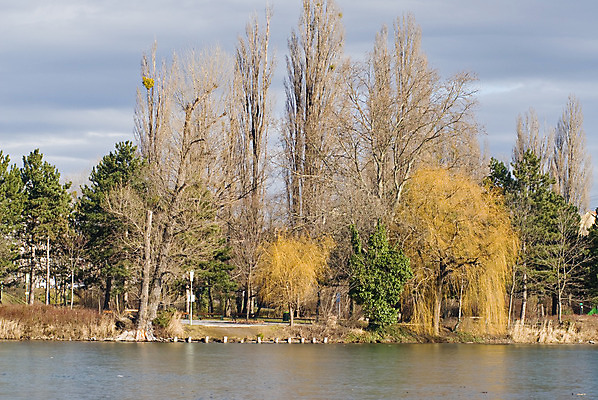 포토 JPG 해외이미지 나무 바다 과학 여행 백그라운드 크리스마스 겨울 휴식 선반 풍경 사람없음 야외 초록색 물 평화 냉동 얼음 침묵 추위 자유 황무지 정지 고독 편안함 시원함 버리기 명상 서리 무인 위도 치유 혼자 해외202004 해외포토 자연요소 식물 계절 기념일 감정 컬러 가구 컨셉 모션 소리 감각 파일형식 이미지허브