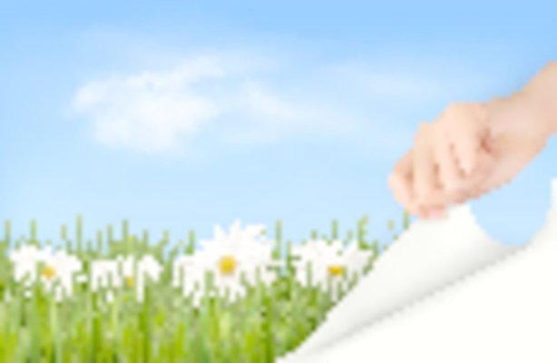 EPS 해외이미지 식물 구름 손 디자인 계절 공원 꽃 종이 백그라운드 컨셉 잎 꽃무늬 일러스트 자연 하늘 부활절 미술 야외 초록색 여름 파란색 빛 태양 우주 정원 맑음 페인트 봄 공백 안개 신선 오픈 신용카드 닫기 데이지 내추럴 평야 해외202004 해외일러스트 자연요소 공공시설 기념일 컬러 무늬 모션 날씨 문화예술 신체부위 금융 생태계 파일형식 벡터 이미지허브