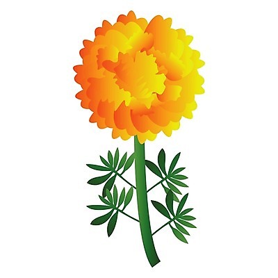 EPS 해외이미지 식물 꽃 백그라운드 꽃무늬 오렌지 일러스트 자연 초록색 노란색 정원 벚꽃 흰색 황금 흰배경 금잔화 해외202004 해외일러스트 컬러 무늬 과일 생태계 파일형식 벡터 이미지허브