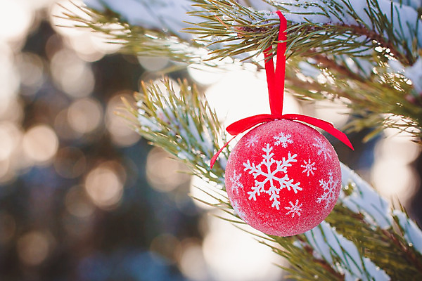 포토 JPG 해외이미지 나무 동물 템플릿 전통 계절 행복 포스터 리본 백그라운드 크리스마스 겨울 공 휴가 새로움 기념 선물 사람없음 장식 빨간색 초록색 빛 장난감 축제 흰색 나뭇가지 축하 인사 신용카드 눈송이 소프트포커스 12월 연도 고립 노엘 스칸디나비아 해외202004 해외포토 식물 기념일 감정 컬러 컨셉 눈_날씨 촬영기법 금융 예절 날짜 파일형식 이미지허브