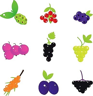 EPS 해외이미지 디자인 열매 음식 다이어트 과일 일러스트 포도 건강 미술 초록색 여름 세트 검은색 신선 달콤 혼합 수집 먹기 오브젝트 상쾌 블루베리 거위 자두 건포도 고립 구스베리 채식주의자 크랜베리 해외202004 해외일러스트 식물 계절 감정 컬러 모션 조류 문화예술 맛 채식 건과일 파일형식 벡터 이미지허브