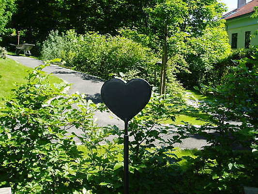 포토 JPG 해외이미지 잔디 사람없음 초록색 햇빛 맑음 하트 철 해외202004 해외포토 모양 식물 컬러 날씨 태양 파일형식 이미지허브