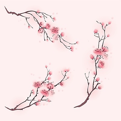 EPS 해외이미지 디자인 꽃 분홍색 잎 꽃무늬 일러스트 자연 일본 중국 봄 성장 벚꽃 나뭇가지 우아함 스타일 해외202004 해외일러스트 나무 식물 계절 아시아 컬러 컨셉 무늬 생태계 파일형식 벡터 이미지허브