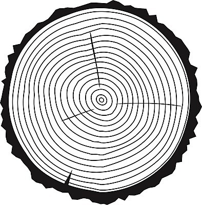 EPS 해외이미지 나무 디자인 조각 백그라운드 십자가 패턴 일러스트 부분 자연 목재 갈색 흰색 반지 원형 역사 숲 자르기 유기농 질감 통나무 고립 수목 해외202004 해외일러스트 도형 식물 웰빙 컬러 무늬 재료 장신구 모션 생태계 파일형식 벡터 이미지허브