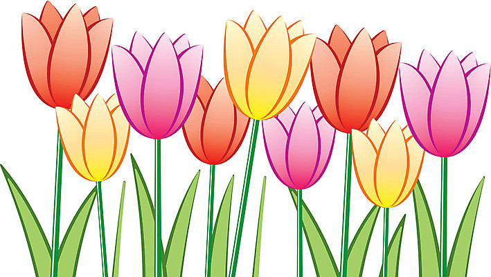 EPS 해외이미지 식물 계절 꽃잎 꽃 실루엣 줄기 분홍색 꽃다발 백그라운드 잎 꽃무늬 패턴 오렌지 일러스트 자연 선물 사랑 그래픽 장식 빨간색 초록색 빛 컬러풀 노란색 정원 보라색 봄 활발 튤립 벚꽃 흰색 신선 생일 다발 배열 내추럴 해외202004 해외일러스트 기념일 감정 컬러 컨셉 무늬 과일 촬영기법 생태계 파일형식 벡터 이미지허브