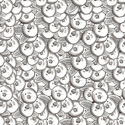 EPS 해외이미지 클립아트 전통 음식 백그라운드 패턴 일러스트 포장 자연 벽지 요리 그래픽 장식 농장 꼬리표 식당 주스 수확 맛 상품 잼 자르기 먹기 그림 유기농 질감 복고 판화 통조림 내추럴 목판화 생태학 채식주의자 크랜베리 해외202004 해외일러스트 웰빙 교육 열매 음료 컨셉 무늬 농업 모션 미술 라벨 상점 소스_음식 생태계 채식 파일형식 벡터 이미지허브