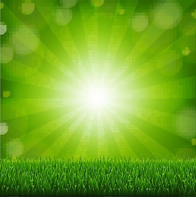 EPS 해외이미지 나무 식물 공원 종이 백그라운드 잎 일러스트 자연 하늘 프레임 파노라마 초록색 여름 햇빛 태양 정원 봄 성장 흰색 나뭇가지 신선 숲 에코 원예 질감 파열 내추럴 고립 생태학 해외202004 해외일러스트 자연요소 계절 공공시설 교육 컬러 촬영기법 취미 환경 생태계 파일형식 벡터 이미지허브