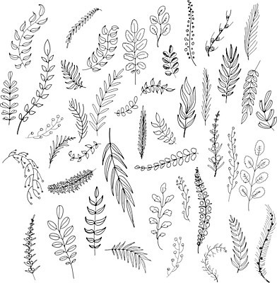 EPS 해외이미지 나무 꽃 백그라운드 잎 패턴 일러스트 자연 잉크 흑백 그래픽 여름 세트 봄 성장 가을 원형 스케치 수집 그림 해외202004 해외일러스트 도형 식물 계절 무늬 촬영기법 미술 생태계 파일형식 벡터 이미지허브