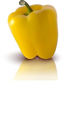 EPS 해외이미지 클립아트 음식 줄기 농업 다이어트 채소 일러스트 재료 자연 고추 파프리카 건강 요리 여름 빛 농장 노란색 식사 저녁식사 종 흰색 신선 뜨거움 양념 달콤 맛 먹기 향신료 상쾌 유기농 후추 내추럴 고립 숙성 식욕 채식주의자 해외202004 해외일러스트 식물 웰빙 계절 감정 산업 컬러 컨셉 모션 생태계 채식 향미료 파일형식 벡터 이미지허브