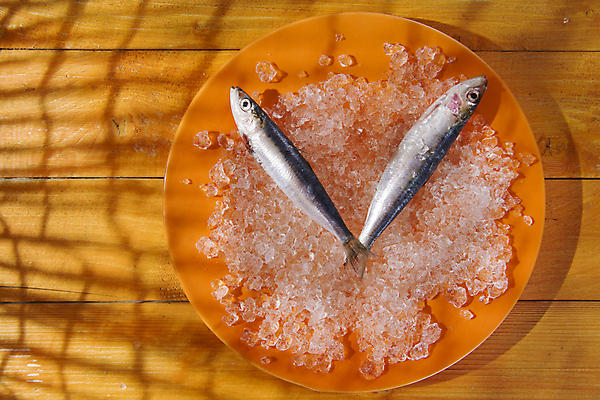 포토 JPG 해외이미지 접시 식재료 실내 사람없음 얼음 신선 멸치 앤초비 나무배경 해외202004 해외포토 자연요소 식기 백그라운드 어류 내부 파일형식 이미지허브