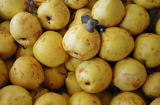 포토 JPG 해외이미지 식물 음료 음식 농업 다이어트 과일 재료 자연 건강 요리 사람없음 빨간색 초록색 농작물 노란색 상점 수확 성장 신선 시장 농부 유기농 건강식 채소밭 숙성 채식주의자 세련 해외202004 비건음식 해외포토 직업 웰빙 산업 컬러 밭 생태계 채식 파일형식 비건 이미지허브