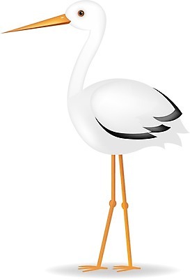 EPS 해외이미지 동물 디자인 야생동물 백그라운드 날개 일러스트 자연 조류 동물원 가로 빨간색 여름 머리 환경 수확 흰색 신생아 출산 신용카드 우아함 큼 만화 깃털 오브젝트 만족 그림 코 복고 부리 엽서 계산서 내추럴 동물상 황새 해외202004 해외일러스트 계절 감정 컬러 컨셉 농업 신체부위 금융 조형물 아기 크기 편지 생태계 파일형식 벡터 산업 미술 사람 경제 문화예술 이미지허브