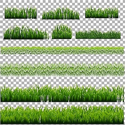 EPS 해외이미지 클립아트 모양 나무 식물 디자인 계절 꽃 백그라운드 잎 꽃무늬 밭 일러스트 부활절 프레임 잔디 가로 초록색 여름 세트 정원 봄 흰색 말벌 땅 수집 허브 오브젝트 그림 에코 유기농 조경 내추럴 고립 생태학 엘리먼트 해외202004 해외일러스트 웰빙 교육 기념일 컬러 무늬 농업 환경 벌_곤충 파일형식 벡터 이미지허브