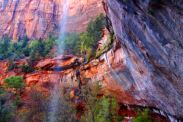 포토 JPG 해외이미지 나무 식물 공원 벽 여행 자연 수영장 풍경 사람없음 야외 환경 미국 침묵 폭포 개울 황무지 에메랄드 장면 지역 서식지 내추럴 생태학 시온산 전국 지질학 해외202004 해외포토 공공시설 교육 북아메리카 강 소리 보석 생태계 파일형식 이미지허브