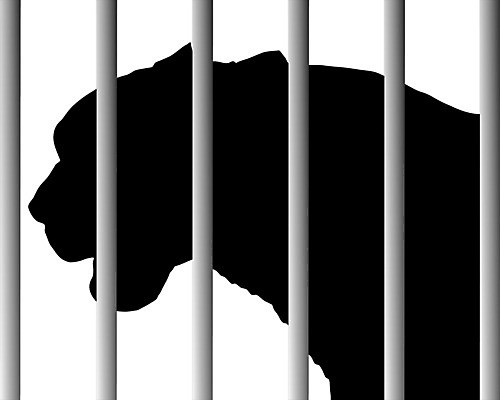 EPS 해외이미지 동물 공원 실루엣 백그라운드 일러스트 동물원 그래픽 울타리 정원 검은색 흰색 바 심볼 사인 새장 표범 고립 재규어 해외202004 해외일러스트 공공시설 컬러 포유류 촬영기법 담장 케이지 파일형식 벡터 이미지허브