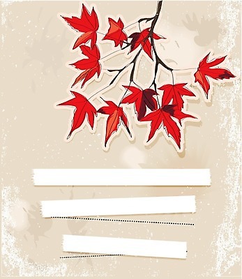 EPS 해외이미지 나무 식물 분홍색 백그라운드 단풍 스티커 잎 꽃무늬 패턴 곡선 일러스트 자연 벽지 추상 휴가 잉크 그래픽 장식 책 파란색 라벨 세일 페인트 수확 덮개 가을 직물 신용카드 화려 숲 유기농 고립 옛날 해외202004 해외일러스트 웰빙 계절 꽃 선 컬러 컨셉 무늬 농업 프레임 금융 뚜껑 생태계 파일형식 벡터 이미지허브