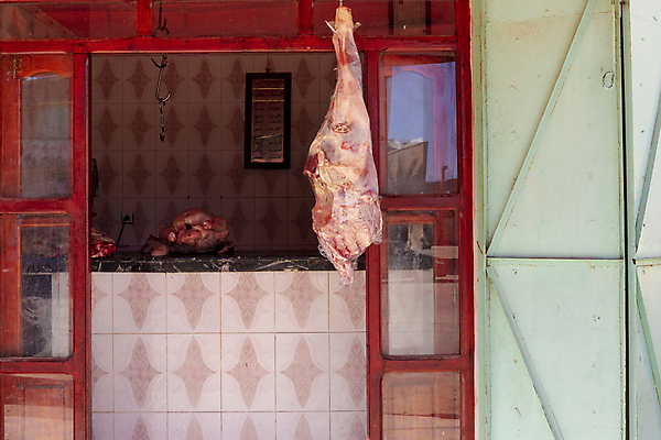 포토 JPG 해외이미지 동물 전통 문화 음식 여행 비즈니스 아프리카 염소 거리 육류 요리 사람 사람없음 빨간색 여름 도시풍경 머리 상점 식사 소고기 도시 시장 지저분함 구매 날것 광장 지역 동쪽 모로코 아랍에미리트 매각 메디나 아랍어 정육점 해외202004 해외포토 계절 나라 컬러 식재료 중동 포유류 풍경 신체부위 쇼핑 감각 방향 파일형식 이미지허브