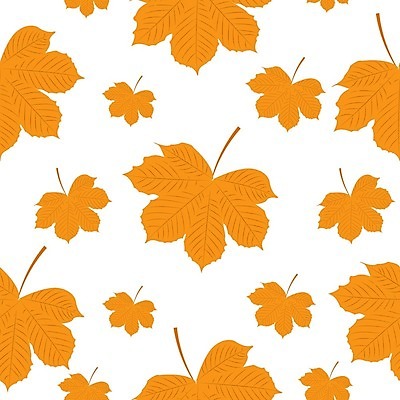 EPS 해외이미지 식물 디자인 계절 실루엣 종이 백그라운드 단풍 잎 꽃무늬 패턴 오렌지 일러스트 자연 벽지 추상 장식 세트 컬러풀 환경 가을 떨어짐 큼 9월 11월 만화 그림 유기농 질감 10월 내추럴 고립 포장소품 해외202004 해외일러스트 웰빙 꽃 컬러 컨셉 무늬 과일 포장 촬영기법 날짜 크기 오브젝트 생태계 포장재료 파일형식 벡터 이미지허브