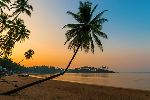 포토 JPG 해외이미지 모래 파도 바다 여행 오렌지 자연 휴가 휴식 항해 손바닥 풍경 해변 사람없음 야외 가로 물 여름 햇빛 일출 침묵 새벽 만 가장자리 휴양지 장면 코코넛 멀리 석호 이국적 수평선 해외202004 해외포토 자연요소 손 계절 컨셉 배_교통 과일 태양 노을 소리 장소 둘레 생태계 파일형식 이미지허브