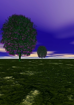 포토 JPG 해외이미지 나무 구름 계절 공원 길 백그라운드 단풍 잎 밭 오렌지 자연 하늘 아침 풍경 사람없음 야외 가로 빨간색 초록색 여름 파란색 빛 햇빛 노란색 우주 정원 활발 가을 나뭇가지 시골 신선 숲 땅 원예 조경 10월 내추럴 해외202004 해외포토 주간 자연요소 식물 공공시설 컬러 컨셉 농업 과일 취미 태양 날짜 생태계 파일형식 이미지허브