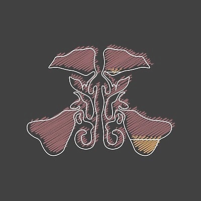 EPS 해외이미지 교육 얼굴 과학 일러스트 해부 건강 사람 치료 약 머리 고통 추위 열 입 구멍 호흡기관 바이러스 질병 코 두통 감염 알레르기 고립 돌봄 염증 인플루엔자 재채기 해외202004 해외일러스트 감정 의학 모션 신체부위 장기 파일형식 벡터 이미지허브