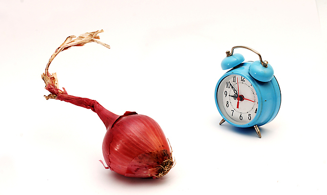 포토 JPG 해외이미지 음식 시계 백그라운드 다이어트 토마토 채소 오렌지 과일 재료 자연 딸기 양파 오이 귤 바나나 건강 키위 요리 사람없음 빨간색 노란색 봄 신선 시간 시장 사과 혼합 상추 먹기 파인애플 유기농 후추 성분 채식주의자 해외202004 해외포토 웰빙 계절 컬러 모션 향신료 열대과일 생태계 채식 파일형식 이미지허브