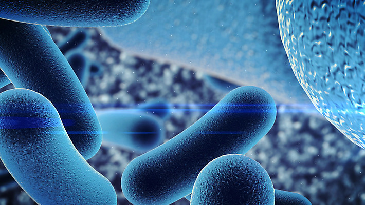 포토 JPG 해외이미지 모양 과학 백그라운드 일러스트 추상 생물 세포 건강 현미경 사람 사람없음 약 3D 흰색 바이러스 E 질병 공격 생물학 감염 미생물 박테리아 고립 전염병 해외202004 해외포토 알파벳 교육 컬러 무늬 의학 모션 실험기구 디지털합성 파일형식 이미지허브