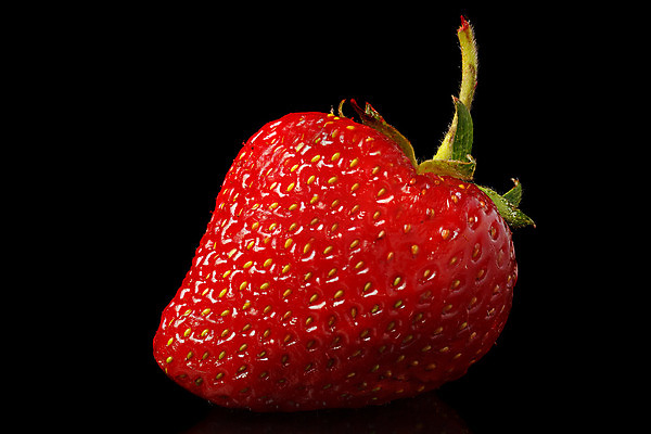 포토 JPG 해외이미지 열매 음식 백그라운드 잎 채소 과일 자연 유리 딸기 건강 씨앗 사람없음 컵 빨간색 초록색 물 빛 활발 신선 그룹 사발 던지기 달콤 떨어짐 먹기 오브젝트 유기농 날것 산딸기 분무기 고립 숙성 해외202004 해외포토 자연요소 식물 식기 웰빙 컬러 컨셉 모션 재질 사기그릇 맛 생태계 파일형식 이미지허브