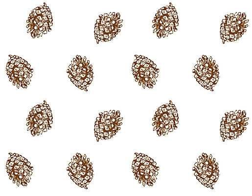 EPS 해외이미지 나무 식물 계절 야생동물 크리스마스 겨울 일러스트 자연 휴가 새로움 선물 연필 펜 정원 나뭇가지 소나무 신용카드 숲 인쇄 스케치 연도 그림 생물학 기념품 손그림 솔방울 판화 전나무 원뿔 해외202004 해외일러스트 도형 동물 교육 기념일 컨셉 학용품 미술 금융 필기구 오브젝트 생태계 파일형식 벡터 이미지허브
