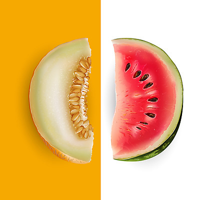 JPG 해외이미지 조각 일러스트 단면 수박 사람없음 세트 비교 멜론 해외202004 해외포토 포토 컨셉 과일 파일형식 이미지허브