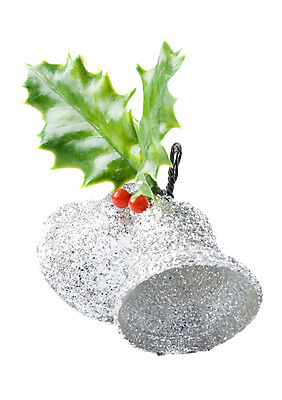 포토 JPG 해외이미지 나무 아이콘 계절 잎 크리스마스 겨울 공 휴가 사람없음 장식 빨간색 장식볼 종 축하 사과 12월 고립 해외202004 해외포토 식물 기념일 컬러 컨셉 과일 날짜 파일형식 이미지허브