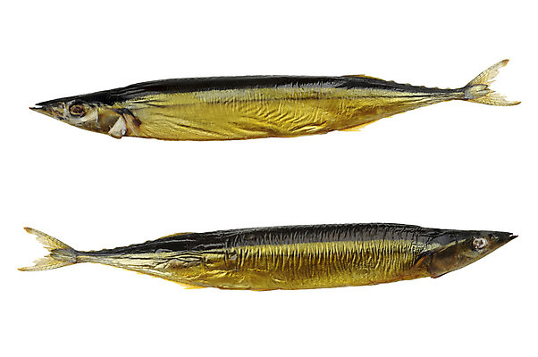 포토 JPG 해외이미지 음식 2 어류 사람없음 흰색 맛 해산물 준비 훈제 고립 해외202004 해외포토 컬러 컨셉 수중동물 파일형식 이미지허브