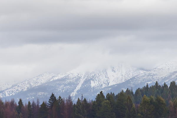 포토 JPG 해외이미지 나무 구름 자연 하늘 아침 스키 산 사람 풍경 사람없음 야외 물 여름 파란색 빛 햇빛 반사 일출 계곡 얼음 고요 새벽 하이킹 추위 황무지 배낭여행 속도 빙하 암초 스카이라인 안장 오로라 돌무덤 루트 절정 해외202004 해외포토 주간 자연요소 식물 계절 컬러 여행 자연현상 레저 겨울스포츠 태양 노을 무덤 생태계 파일형식 이미지허브