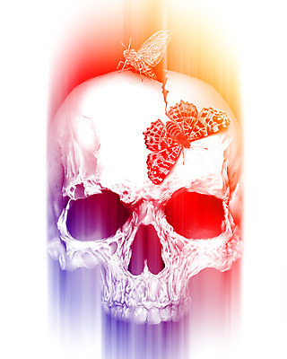 포토 JPG 해외이미지 나비 컨셉 뼈 흑백 그림자 사람없음 연필 머리 어둠 죽음 그리기 영혼 나방 해골모형 호러 해외202004 해외포토 곤충 모션 학용품 촬영기법 신체부위 필기구 모형 공포 파일형식 이미지허브