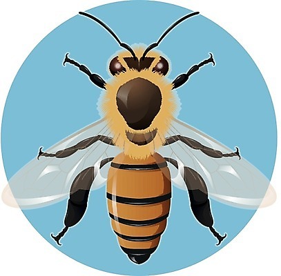EPS 해외이미지 동물 디자인 곤충 백그라운드 날개 일러스트 자연 노동자 미술 여름 노란색 검은색 수확 흰색 머리빗 벌레 꿀벌 말벌 만화 벌 심볼 그림 꿀 솜털 찌르기 벌집 내추럴 고립 옛날 왁스 호박벌 현실 해외202004 해외일러스트 직업 계절 컬러 농업 모션 문화예술 미용용품 벌_곤충 생태계 파일형식 벡터 이미지허브