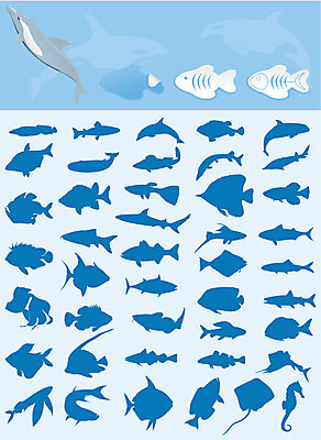 EPS 해외이미지 동물 디자인 실루엣 호수 바다 일러스트 자연 낚시 어류 경사 물 파란색 거품 만화 참치 장어 심볼 해산물 척추 돌고래 지느러미 상어 수족관 내추럴 동물상 민물 해외202004 해외일러스트 자연요소 컬러 포유류 레저 뼈 촬영기법 조형물 수중동물 생태계 파일형식 벡터 이미지허브