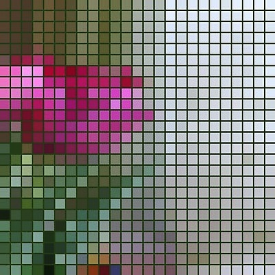 EPS 해외이미지 모양 디자인 꽃 선 백그라운드 잎 꽃무늬 패턴 일러스트 건축양식 창문 자연 유리 벽지 추상 프레임 미술 그래픽 장식 빨간색 초록색 여름 빛 컬러풀 교회 봄 활발 수확 벚꽃 직물 얼룩 타일 질감 복고 모자이크 엘리먼트 스타일 해외202004 해외일러스트 식물 계절 건축 컬러 컨셉 무늬 농업 종교건축 재질 문화예술 건물 생태계 파일형식 벡터 이미지허브