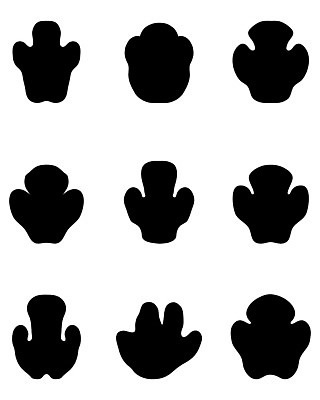 EPS 해외이미지 동물 야생동물 신체 일러스트 포유류 자연 뿔 동물원 걷기 검은색 힘 인쇄 위험 큼 발자국 심볼 사파리 오브젝트 사인 심플 코뿔소 단계 고립 양발 채식주의자 해외202004 해외일러스트 컬러 컨셉 자국 모션 크기 생태계 채식 파일형식 벡터 이미지허브