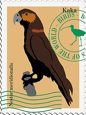 EPS 해외이미지 디자인 배너 종이 야생동물 인터넷 일러스트 자연 조류 추상 미술 사무실 깃발 숲 편지 앵무새 진홍색 우표 해외202004 해외일러스트 동물 무늬 비즈니스 문화예술 빨간색 생태계 파일형식 벡터 이미지허브