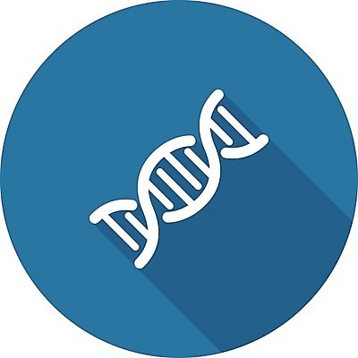 EPS 해외이미지 디자인 과학 곡선 신체 일러스트 자연 건강 그림자 사람 그래픽 약 원형 DNA 심볼 사인 생물학 심플 염색체 UI 복제 유전 인터페이스 해외202004 해외일러스트 도형 교육 선 의학 생명공학 생태계 파일형식 벡터 이미지허브