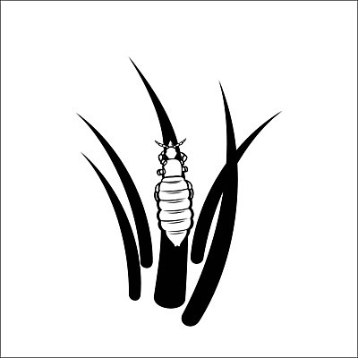 EPS 해외이미지 동물 어린이 곤충 일러스트 학교 자연 건강 사람 치료 머리 긴급 닫기 지저분함 작음 스케치 예방 전염 애벌레 문제 일반 주인 돌봄 식민지 증상 해외202004 해외일러스트 교육 의학 모션 미술 신체부위 감각 벌레 질병 크기 생태계 감염 파일형식 벡터 이미지허브