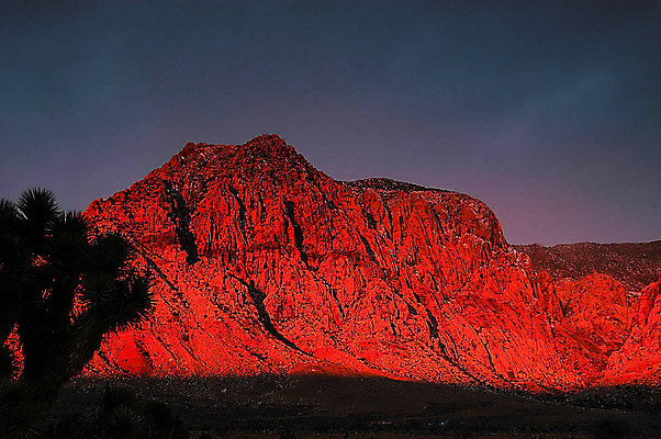 포토 JPG 해외이미지 선인장 사람없음 야외 골짜기 사막 해외202004 해외포토 식물 자연 파일형식 이미지허브