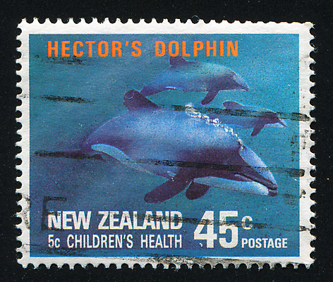 포토 JPG 해외이미지 식물 동물 야생동물 바다 장난 포유류 봉투 새로움 사람없음 우정 거품 수확 골동품 그룹 메시지 역사 물개 호루라기 편지 돌고래 복고 꼬리 엽서 지느러미 우표 깊이 동물상 압력 옛날 지능 해외202004 해외포토 컨셉 농업 친구 조형물 바다동물 수중동물 파일형식 이미지허브