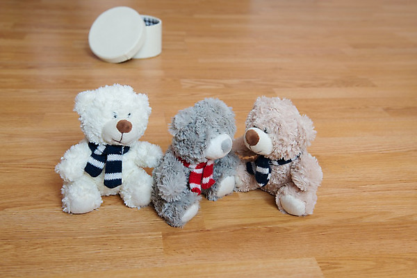 포토 JPG 해외이미지 동물 캐릭터 1 디자인 행복 어린이 인형 벽 백그라운드 컨셉 크리스마스 곰 놀이 탁자 휴가 새해 바닥 털 실내 발렌타인데이 선물 사랑 앉기 사람없음 목재 장식 선물상자 장난감 갈색 귀여움 침묵 우정 수확 덮개 게임 흰색 축하 아기 신용카드 생일 작음 시원함 모피 오브젝트 싱글 복고 심플 초대 부드러움 솜털 걸음마 고립 옛날 인기 천진난만 해외202004 해외포토 나무 기념일 감정 컬러 가구 농업 재료 포유류 모션 데이이벤트 사람 내부 금융 친구 상자 소리 뚜껑 감각 크기 파일형식 이미지허브