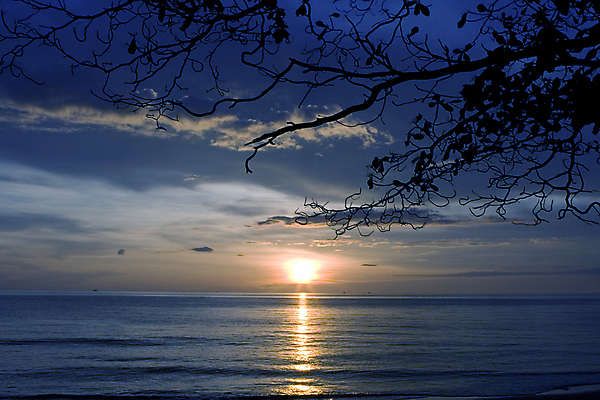 포토 JPG 해외이미지 나무 아시아 파도 여행 태국 하늘 휴가 휴식 따뜻함 사람없음 물 파란색 모래사장 태양 반사 일몰 꿈 흰색 저녁 이국적 파라다이스 푸켓 해외202004 해외포토 자연요소 식물 나라 바다 컬러 컨셉 노을 야간 파일형식 이미지허브