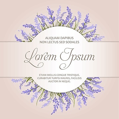 EPS 해외이미지 템플릿 손 디자인 꽃 백그라운드 꽃무늬 일러스트 자연 프레임 그래픽 여름 화환 수확 벚꽃 원형 신용카드 허브 제비꽃 에코 향기 냄새 엽서 아로마 초대 부드러움 라벤더 내추럴 디테일 해외202004 해외일러스트 도형 식물 계절 무늬 농업 신체부위 금융 환경 감각 편지 생태계 파일형식 벡터 이미지허브