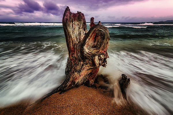 포토 JPG 해외이미지 나무 구름 공원 파도 바다 분홍색 섬 여행 백그라운드 자연 하늘 휴가 풍경 사람없음 야외 목재 빨간색 초록색 물 여름 파란색 컬러풀 태양 환경 보라색 검은색 일몰 흰색 나뭇가지 죽음 서핑 질감 하와이 태평양 내추럴 옛날 해외202004 해외포토 자연요소 식물 계절 공공시설 컬러 재료 노을 미국 수상스포츠 생태계 파일형식 이미지허브