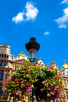 포토 JPG 해외이미지 구름 전통 꽃 유럽 화분 가로등 건축양식 하늘 주택 사람없음 건물 여름 파란색 도시풍경 컬러풀 햇빛 맑음 세계문화유산 램프 도시 묘사 벨기에 브뤼셀 옛날 카피스페이스 해외202004 해외포토 자연요소 식물 건축물 계절 공공시설 건축 나라 컬러 날씨 조명 풍경 태양 공백 문화재 서유럽 파일형식 이미지허브